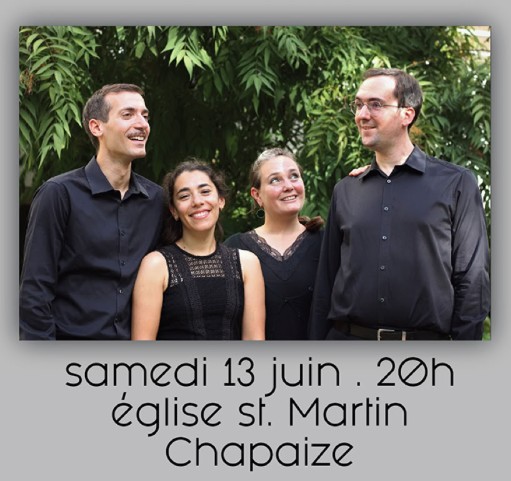 Affiche concert 13 juin 2026 les différents oiseaux